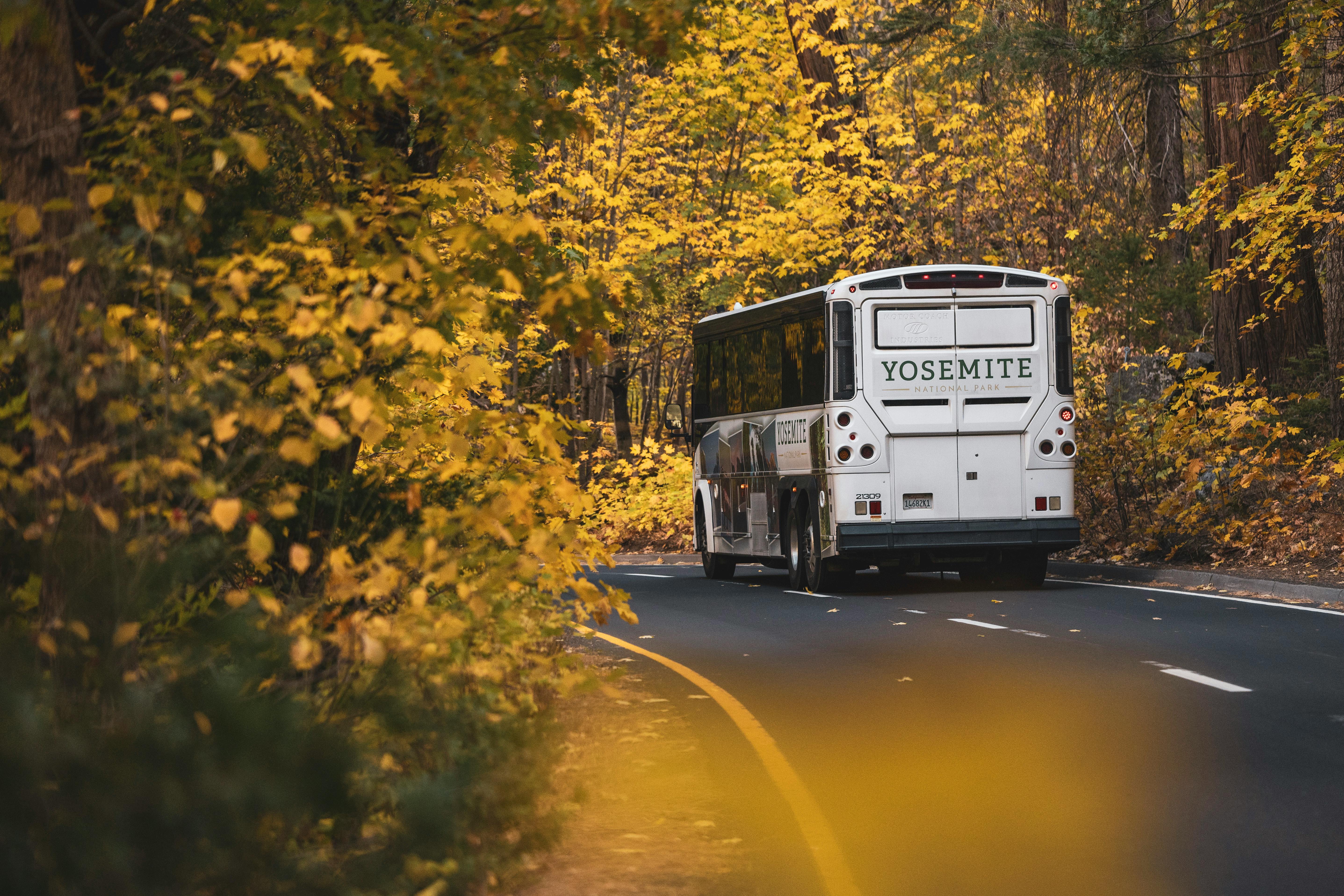Interstate bus on American highway